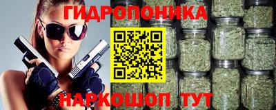 гашик Славгород