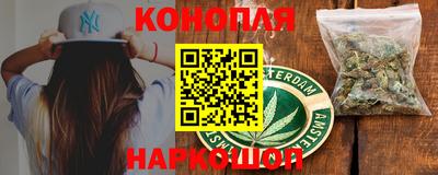 гашик Славгород