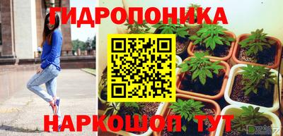 гашик Славгород