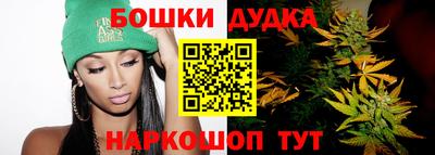 гашик Славгород