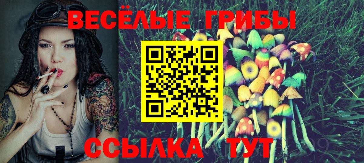 Галлюциногенные грибы Psilocybe  Вход с VPN  Россошь 