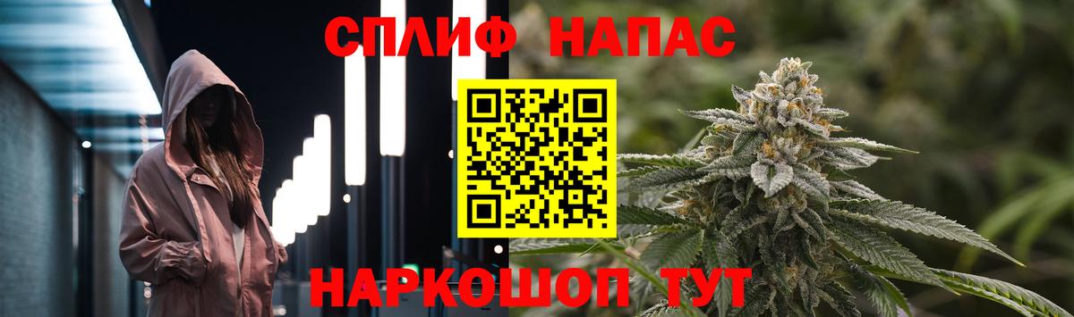 Конопля конопля Россошь