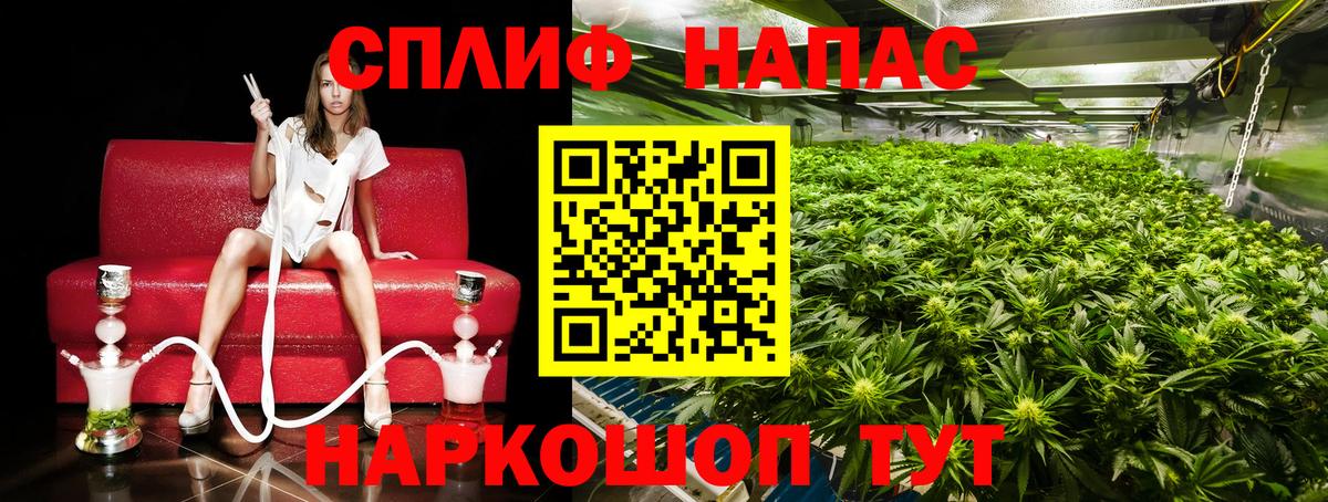 Россошь  Шишки марихуана план  Каннабис семена  Конопля THC 21%  Вход с VPN 